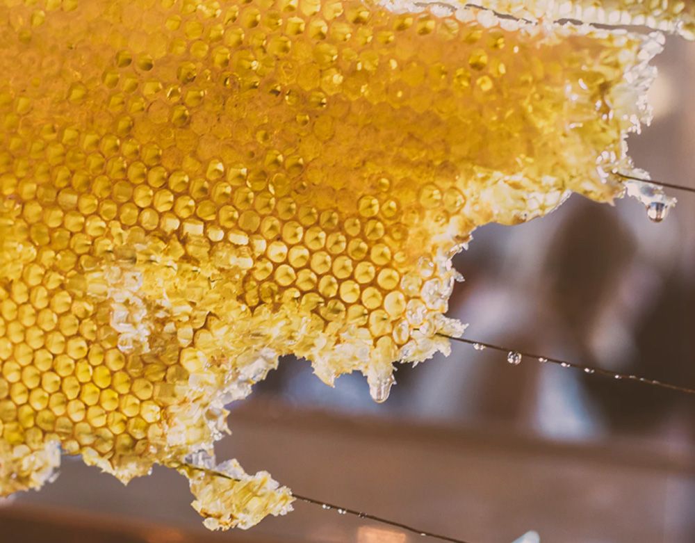 ¿Por qué la miel es kosher?
